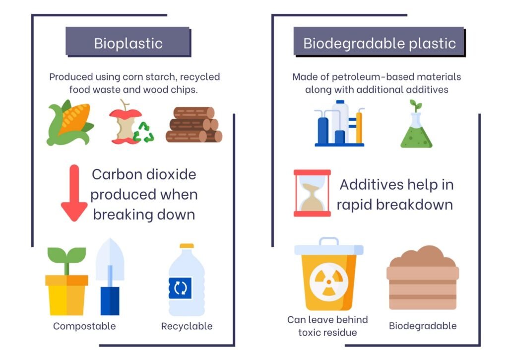 Bioplastic Vs Biodegradable Plastic Graphic F97cf3a8a5 1024x727
